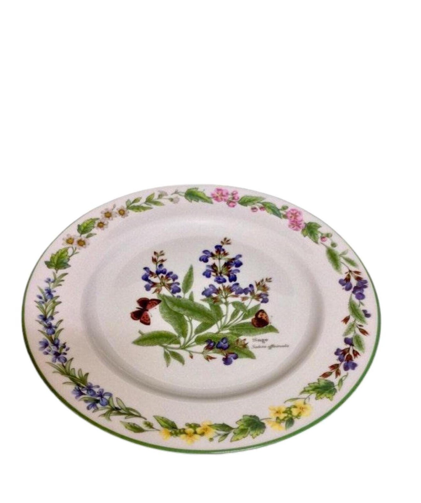 Royal Worcester Salad Plate: Vintage Herbs Pattern, Sage Design