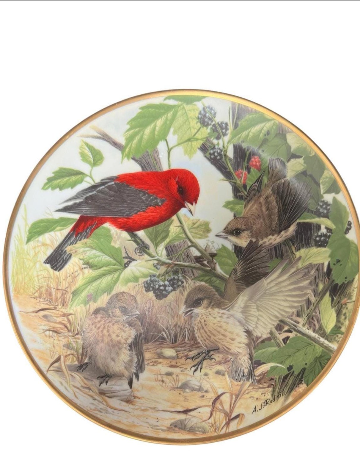 Scarlet Tanager Wall Hanging Ceramic Plate for Bird Watcher | A J Rudisill