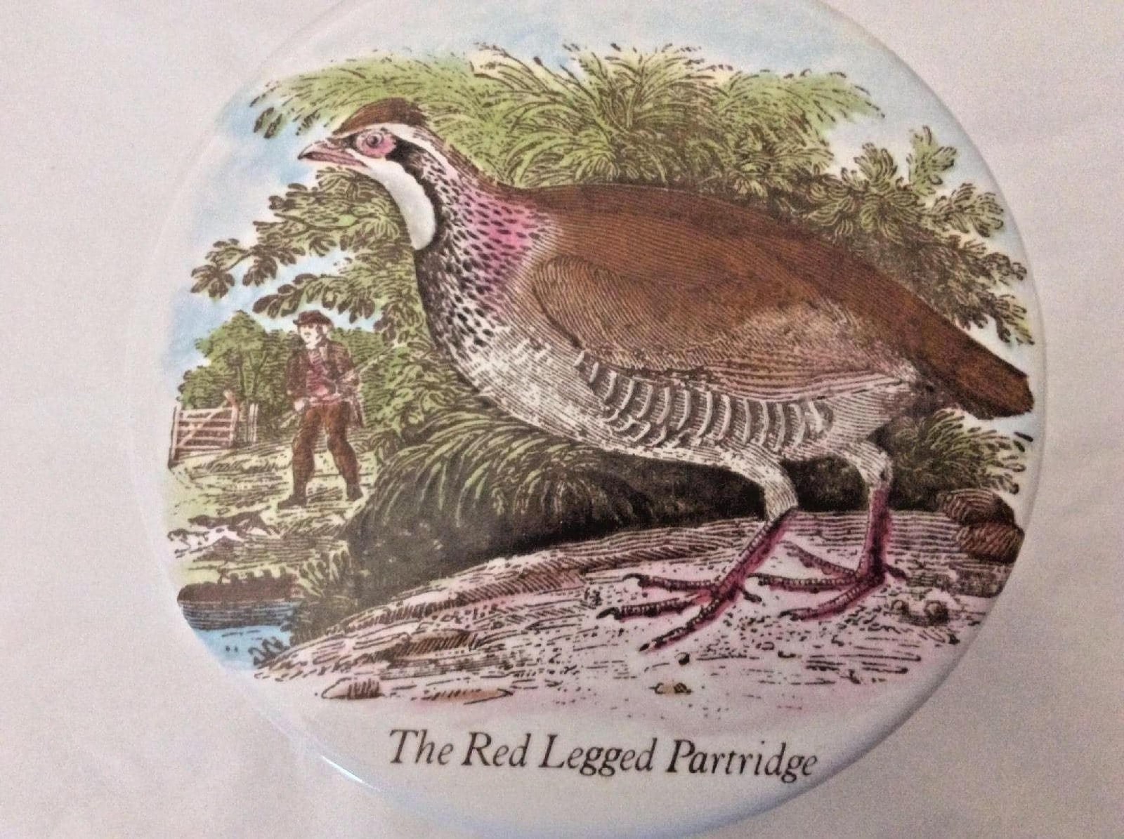 Staffordshire Trinket Dish, Red Legged Partridge, Porcelain Powder Box
