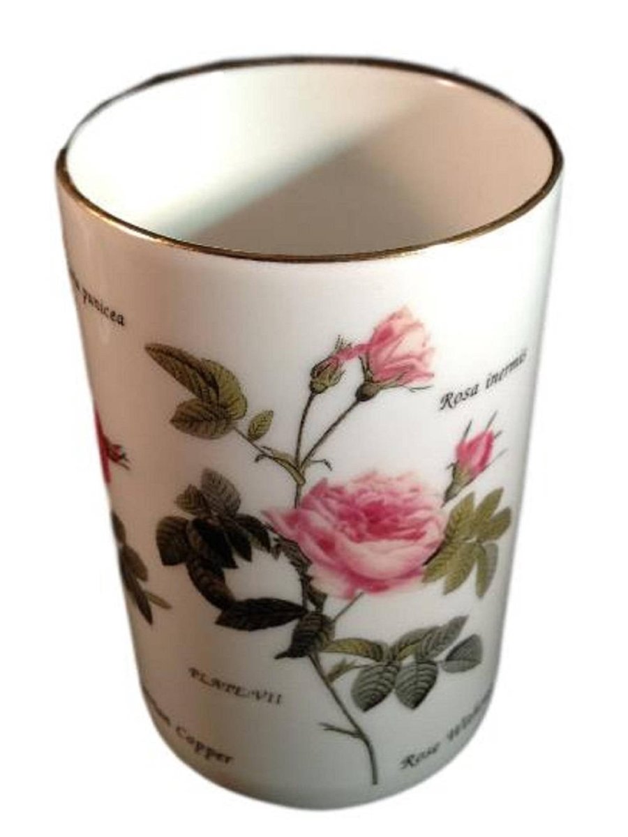 Vintage Staffordshire Floral Bone China Mugs, Rose Natural History Set of 6