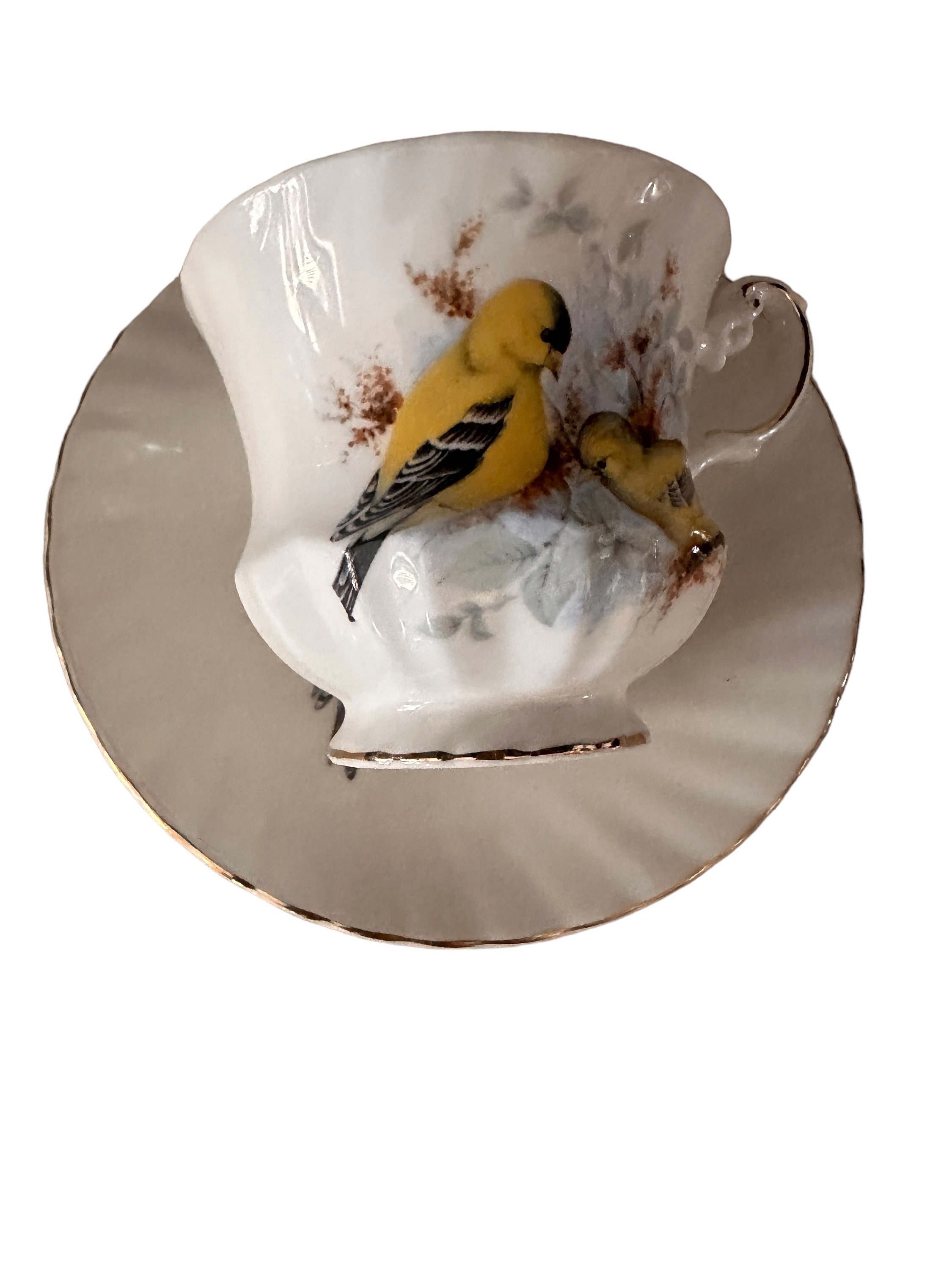 VIntage Teacup & Saucer Queens Birds of America Yellow Finch Design