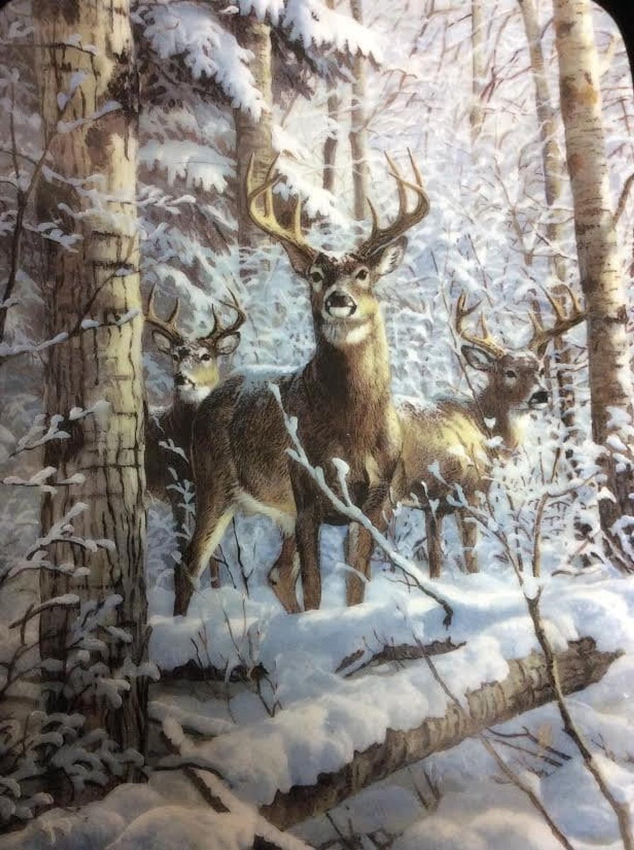 Whitetail Deer Porcelain Plate | Winter Wildlife Dresser Tray, Cabin Decor