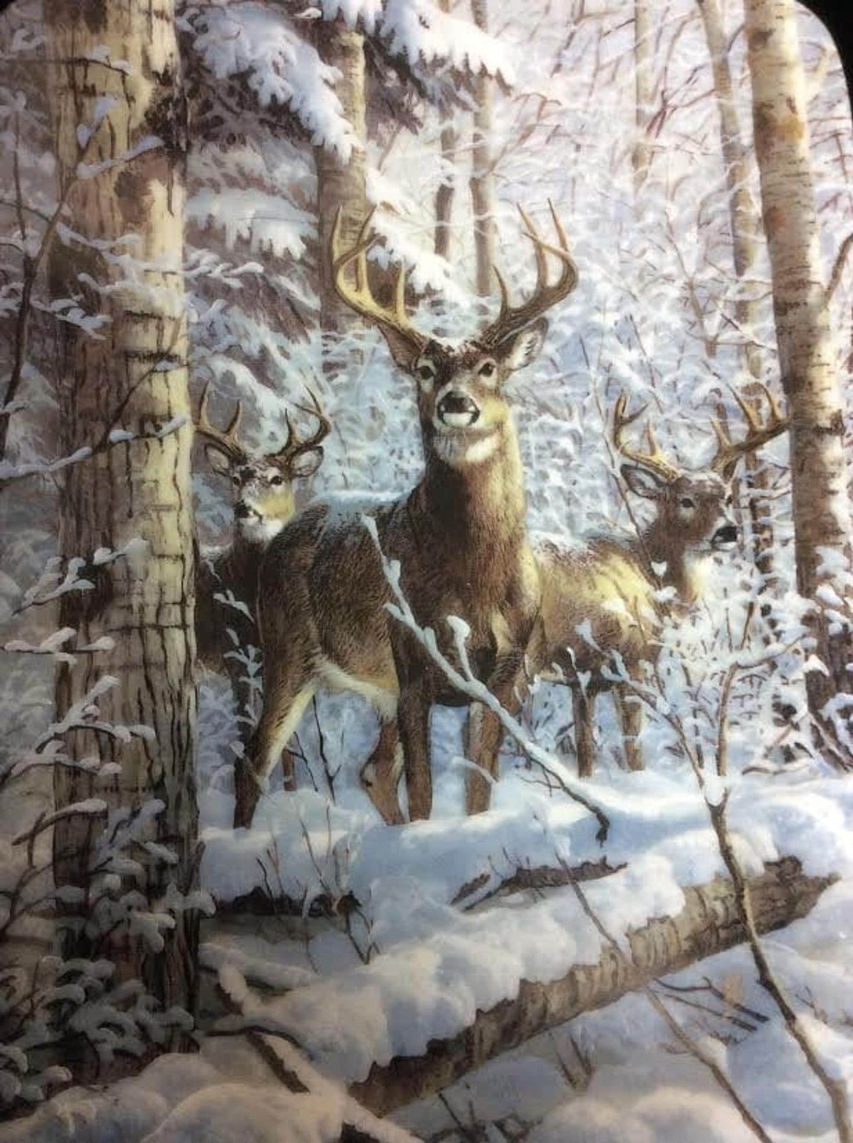 Whitetail Deer Porcelain Plate | Winter Wildlife Dresser Tray, Cabin Decor