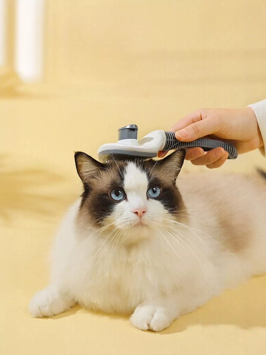 Self-Cleaning Slicker Pet Hair Remover Brush