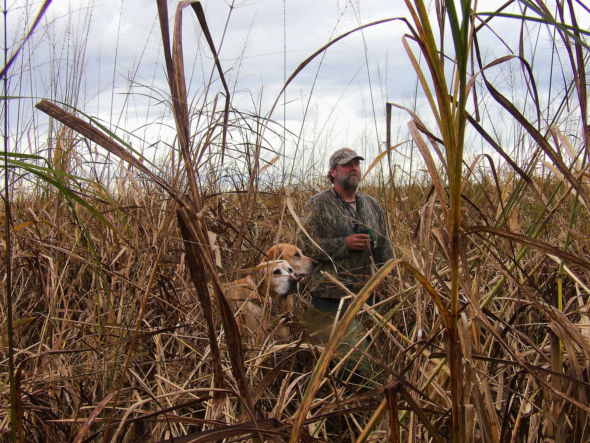 Brett with Finn and Max among tall marsh reeds