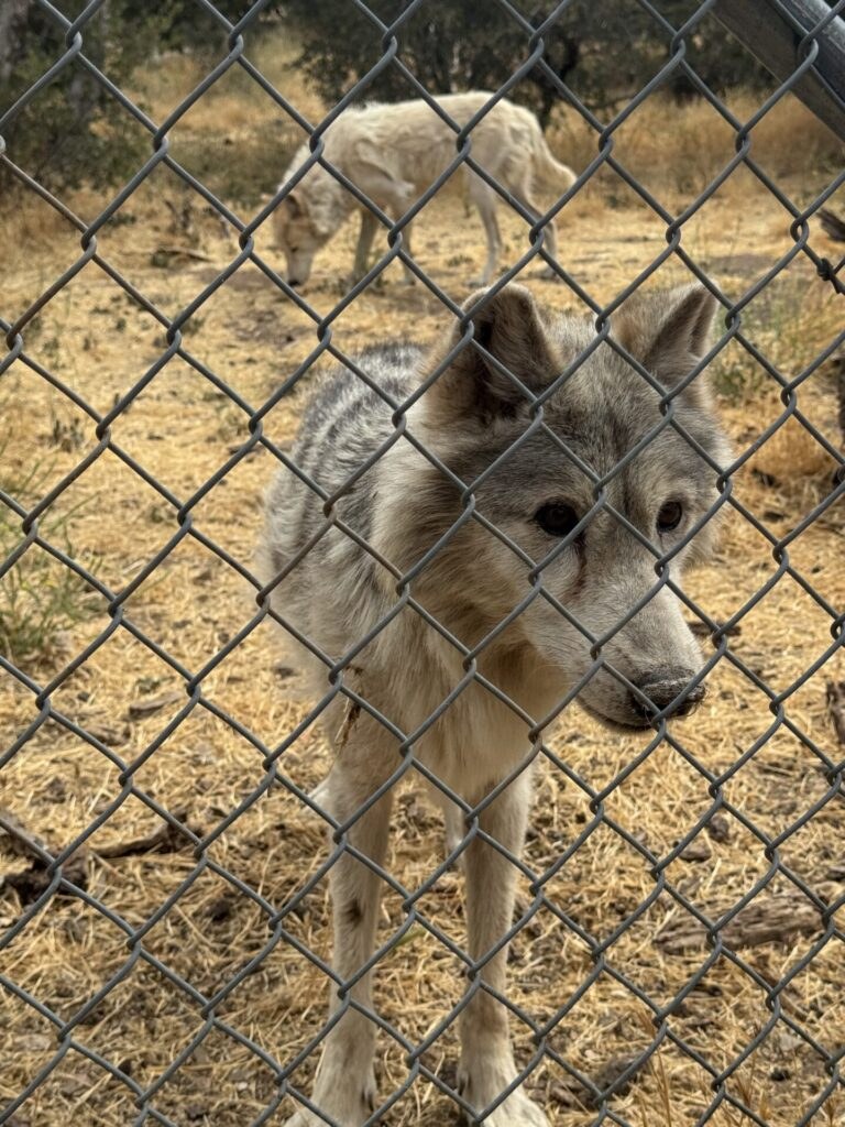 Travel photograph of Julian, California