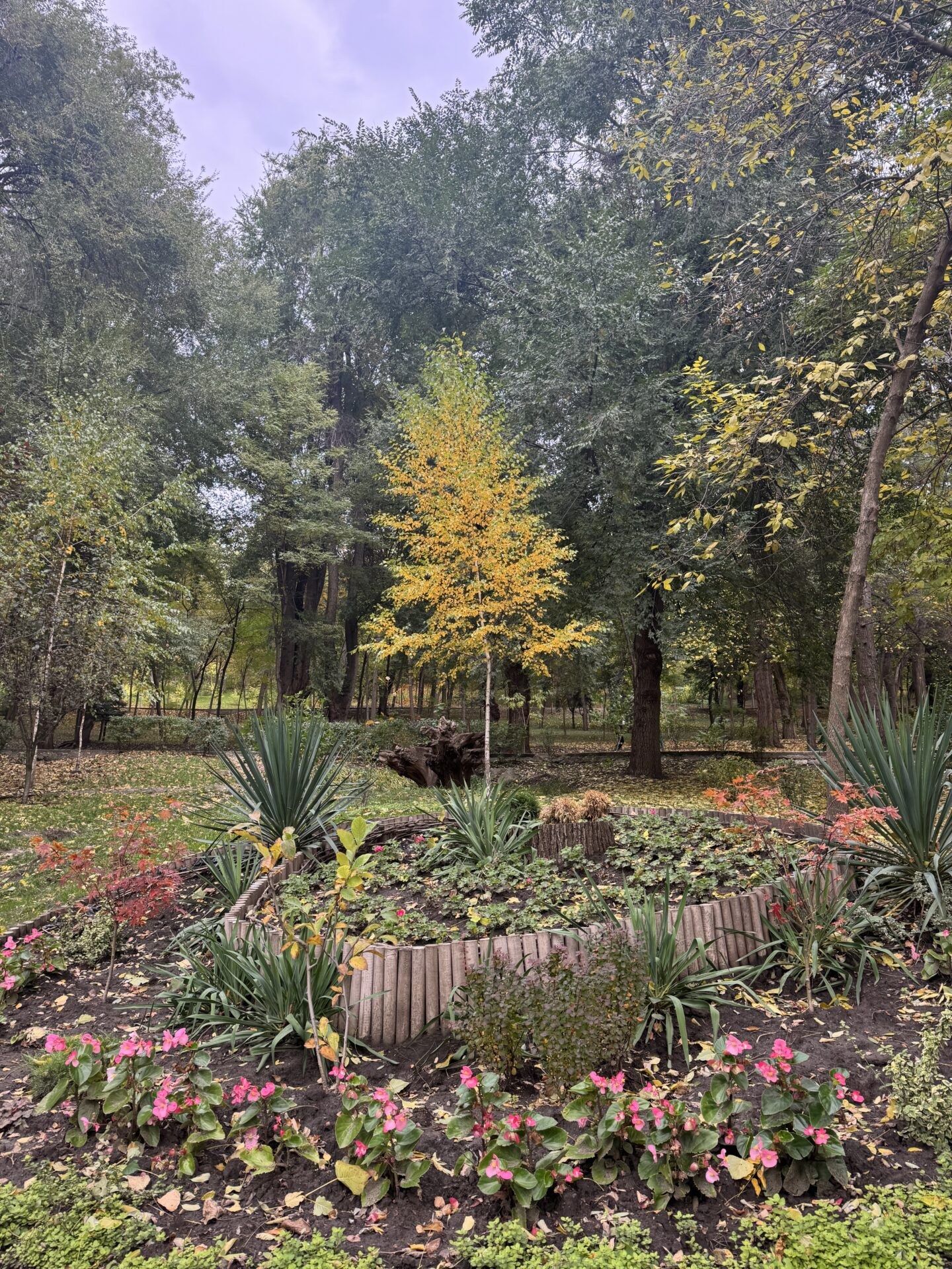 Garden path in Valea Morilor Park