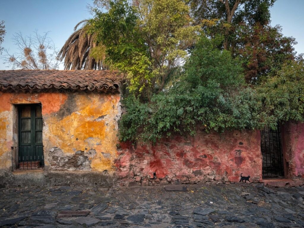 Travel photograph of Houses in Colonia del Sacramento