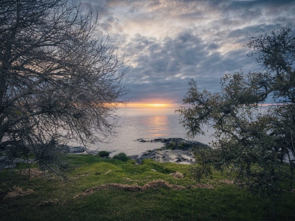 Travel photograph of River in Uruguay