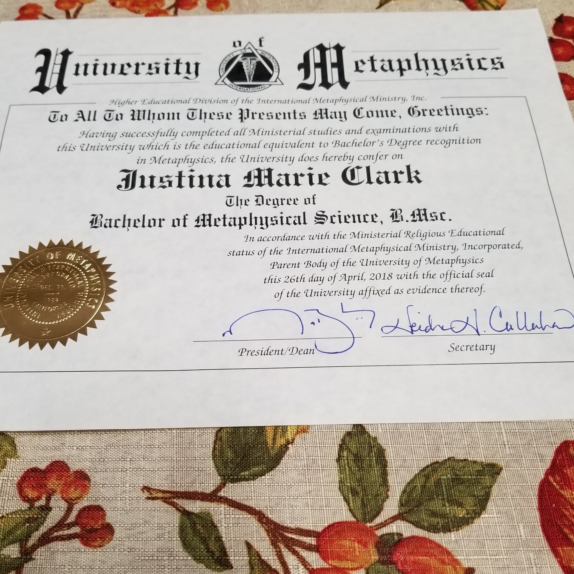 Bachelor of Metaphysics Degree