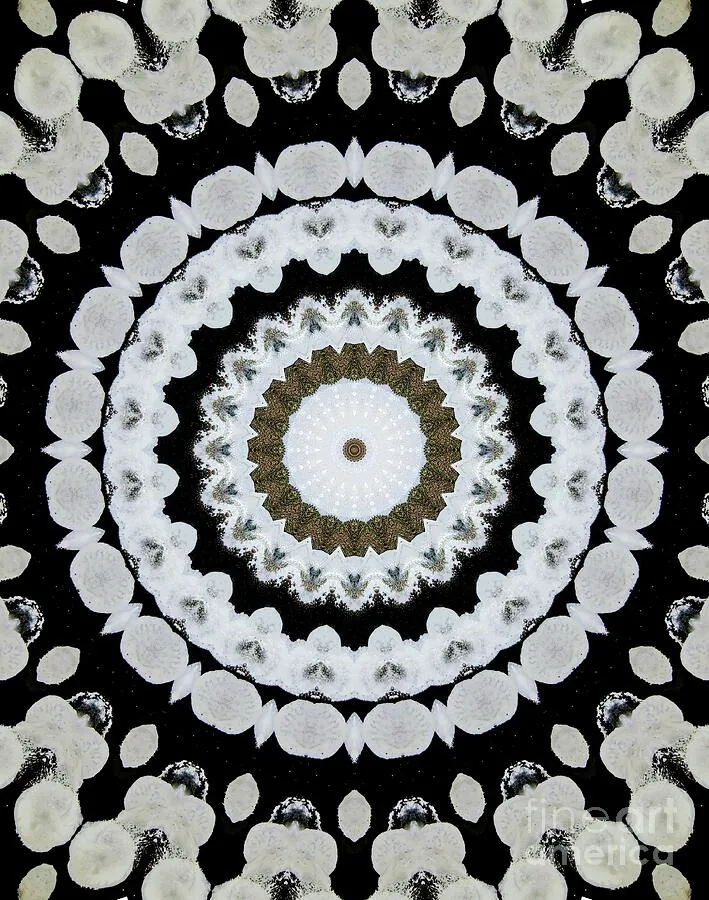 White and black circular mandala with concentric detail