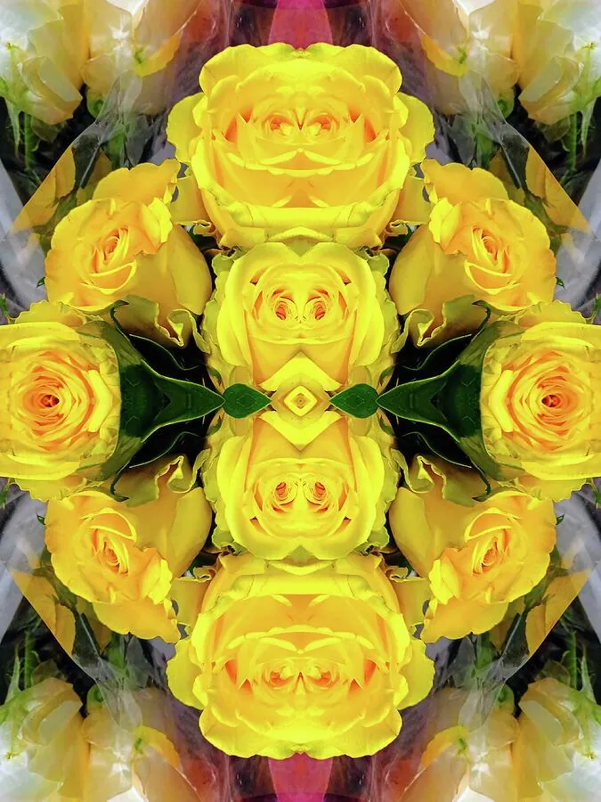 Bright yellow roses arranged in a kaleidoscopic pattern