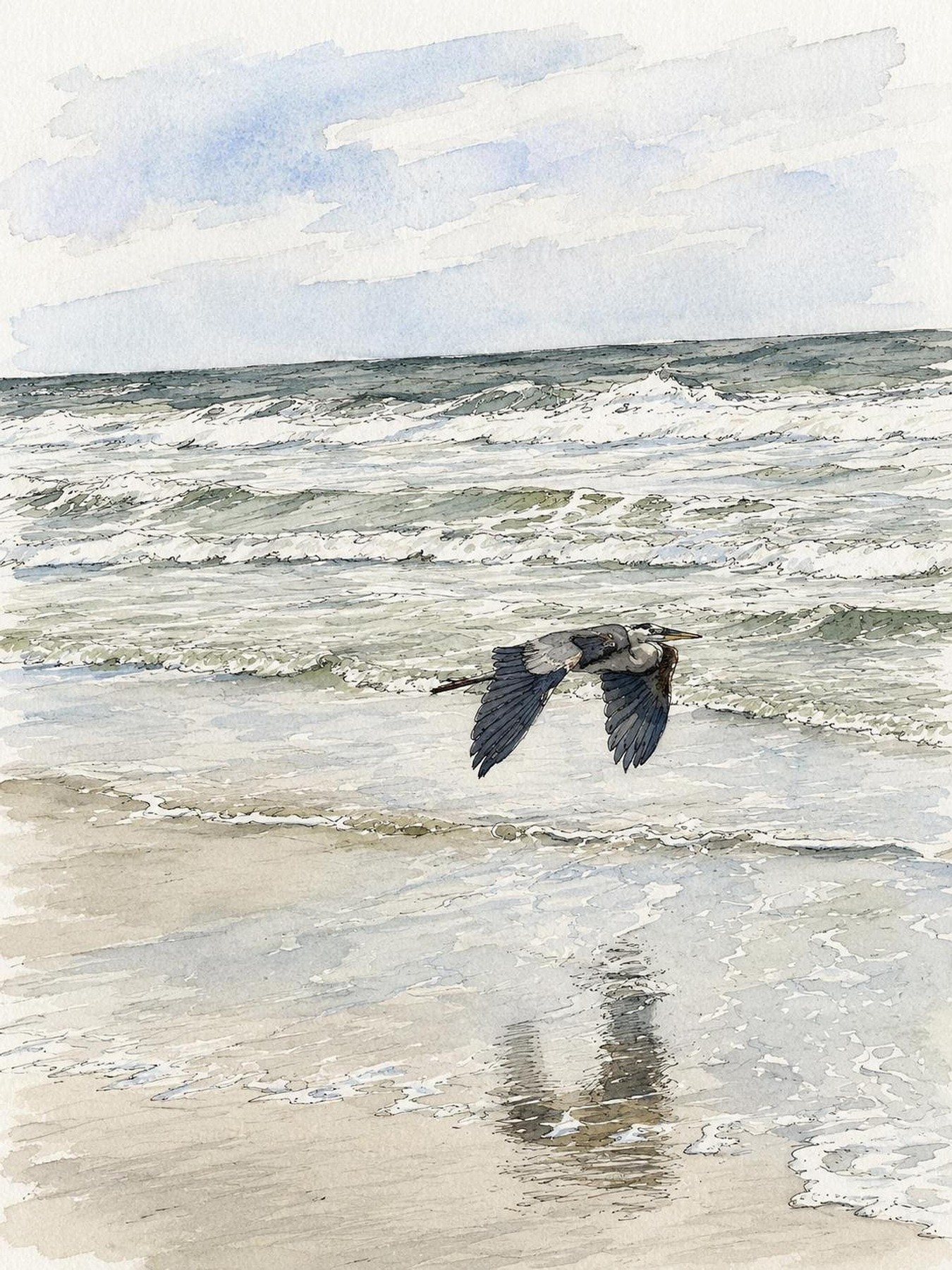 Heron Wall Art, Watercolor Print of Great Blue Flying