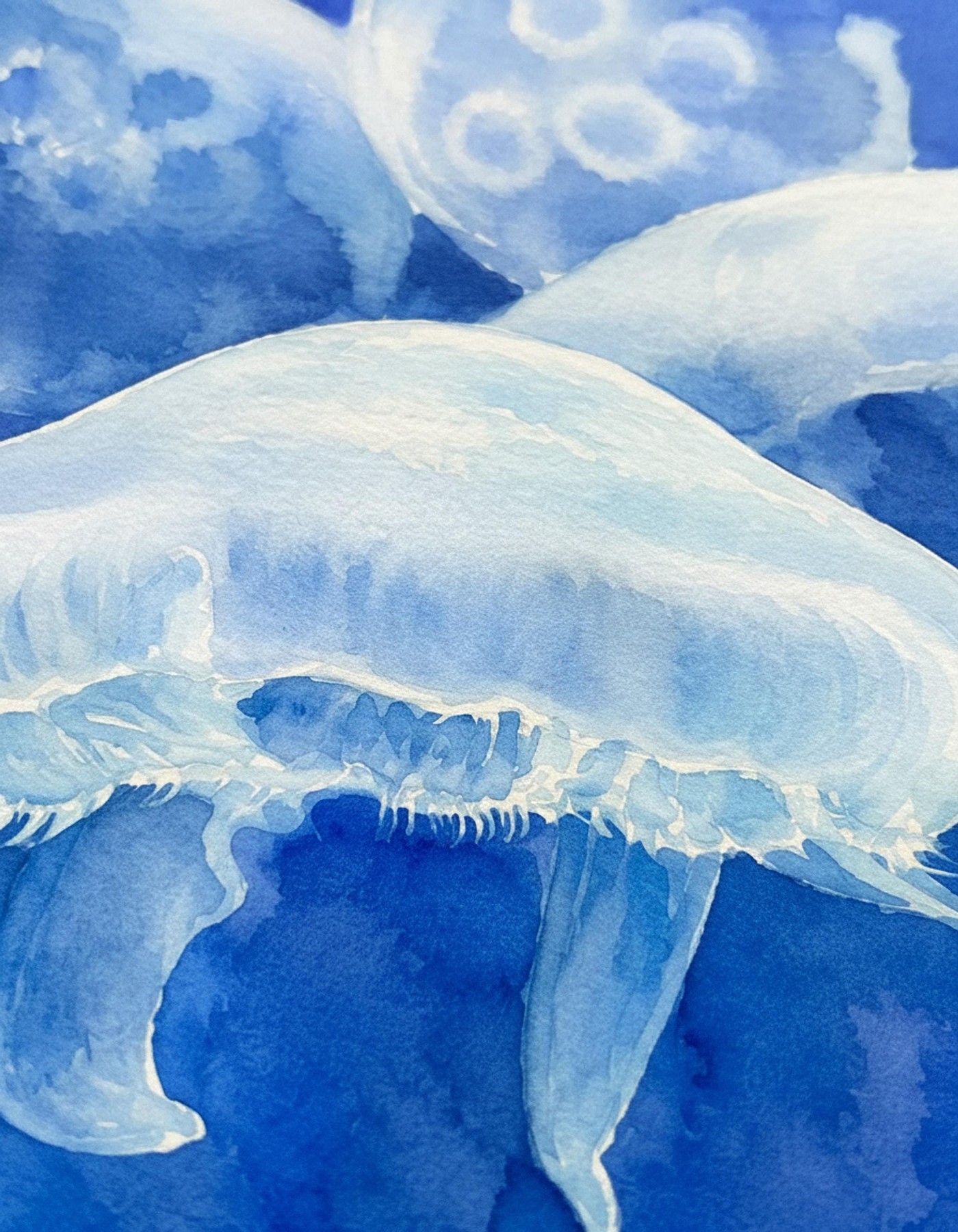 Ocean Lover Art, Blue Jellyfish Watercolor Print on Archival Matte Linen Paper, detail 4