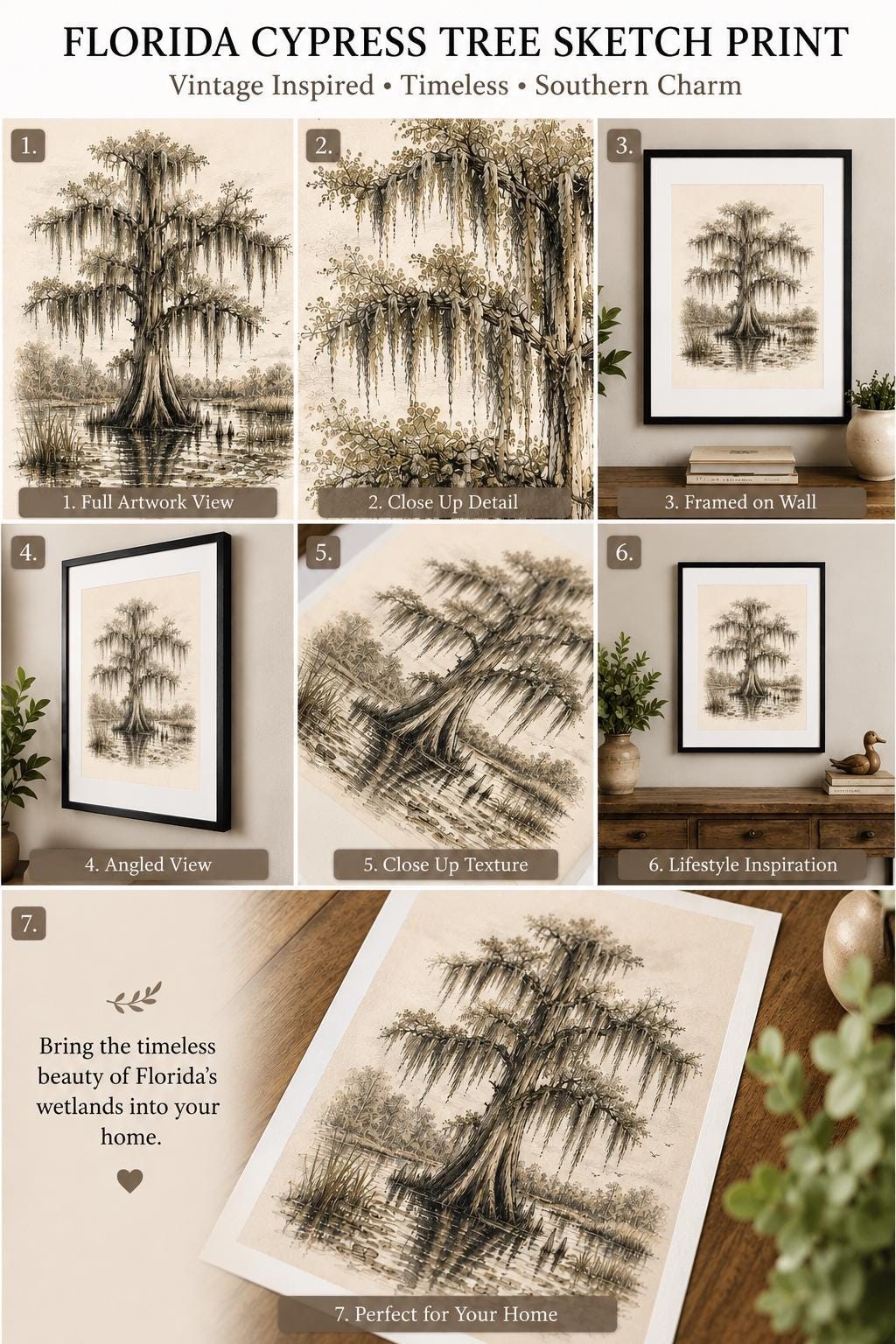 Florida Cypress Tree Sketch Print Vintage Wetlands Wall Art Cypress Tree with Spanish Moss Southern Landscape, detail 4