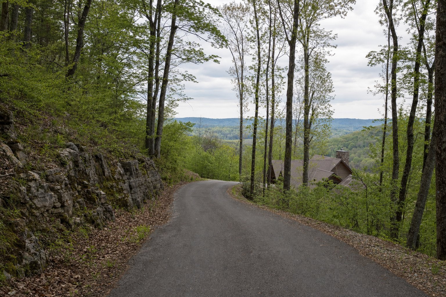 Wooded residential road on a Tennessee plateau hillside