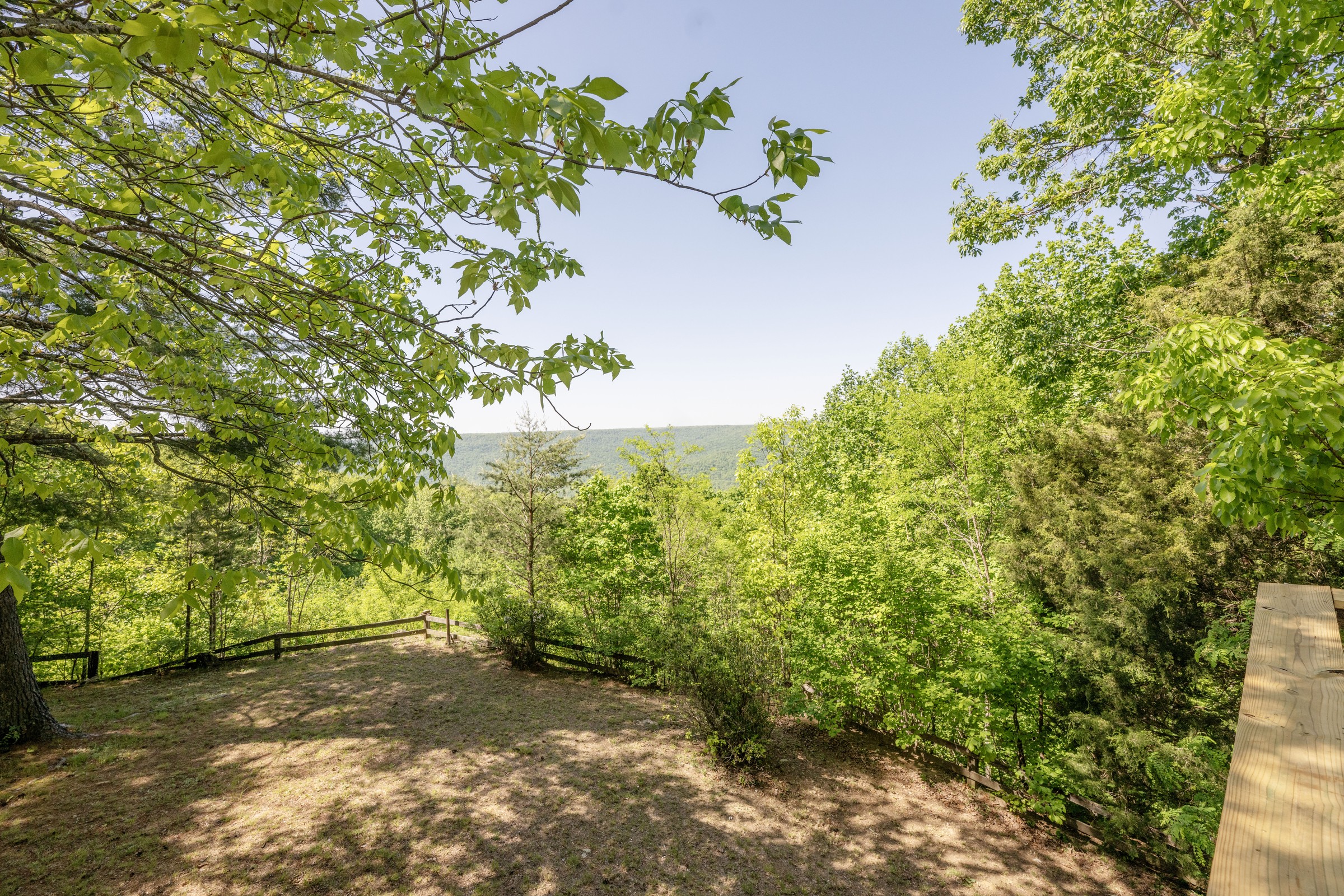 Wooded bluff view at 3442 Sherwood Road