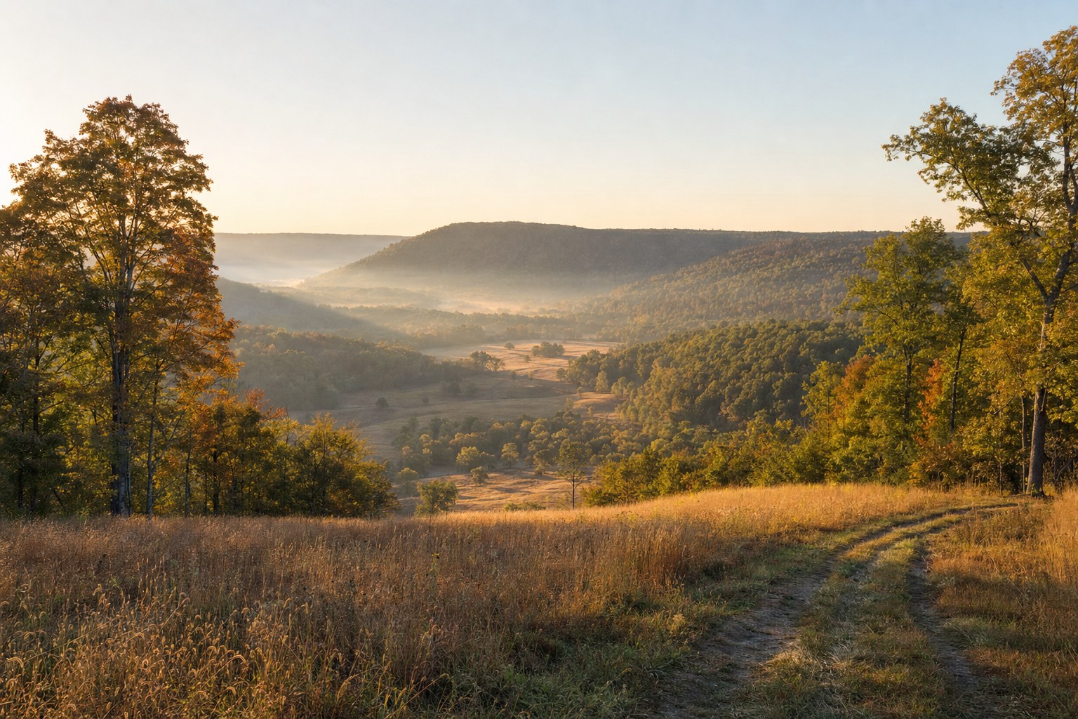 Open plateau acreage with a distant wooded ridge
