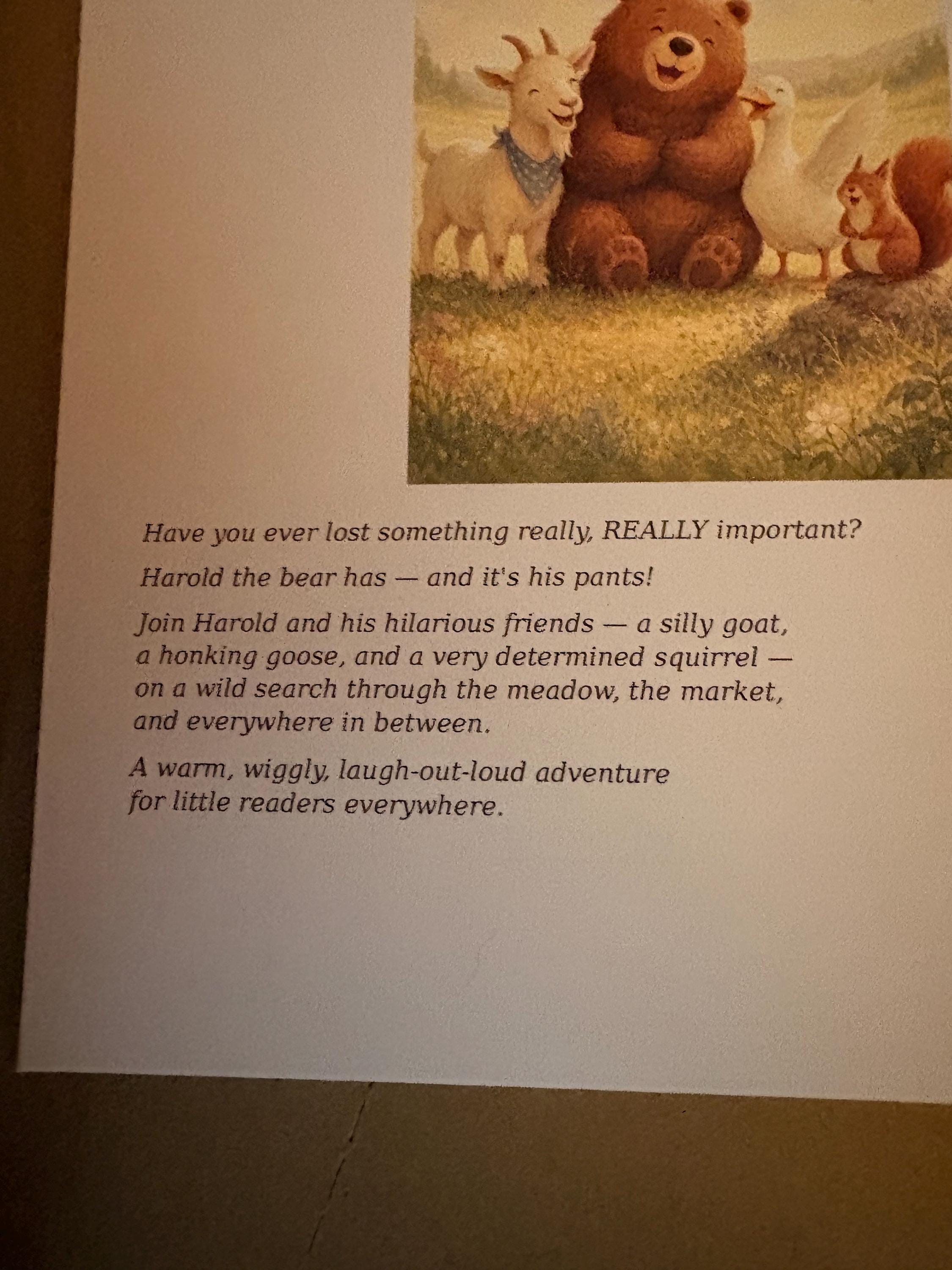 The Day Harold lost his pants detail 4