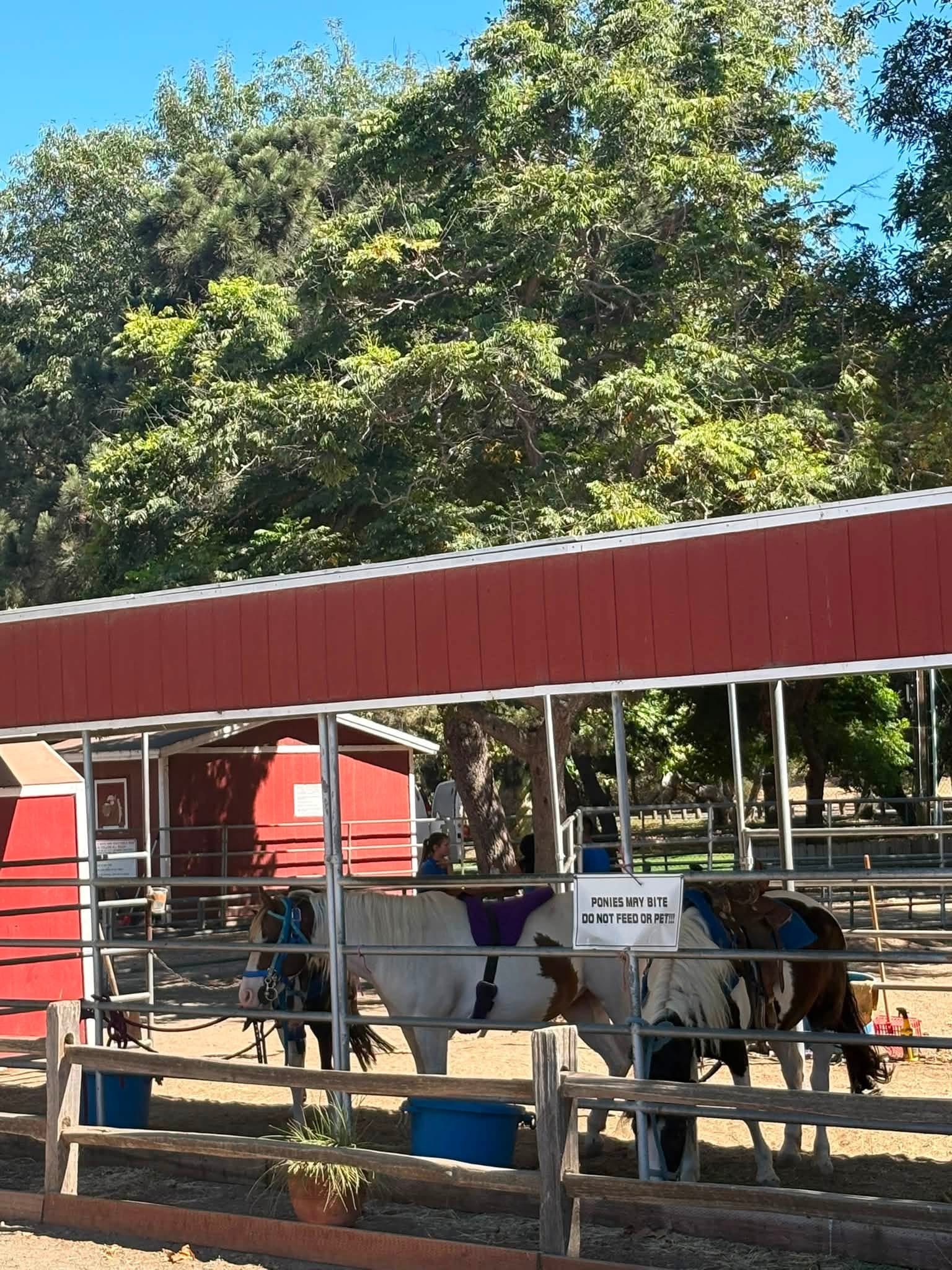 Pony rides at Irvine Regional Park in Orange, California