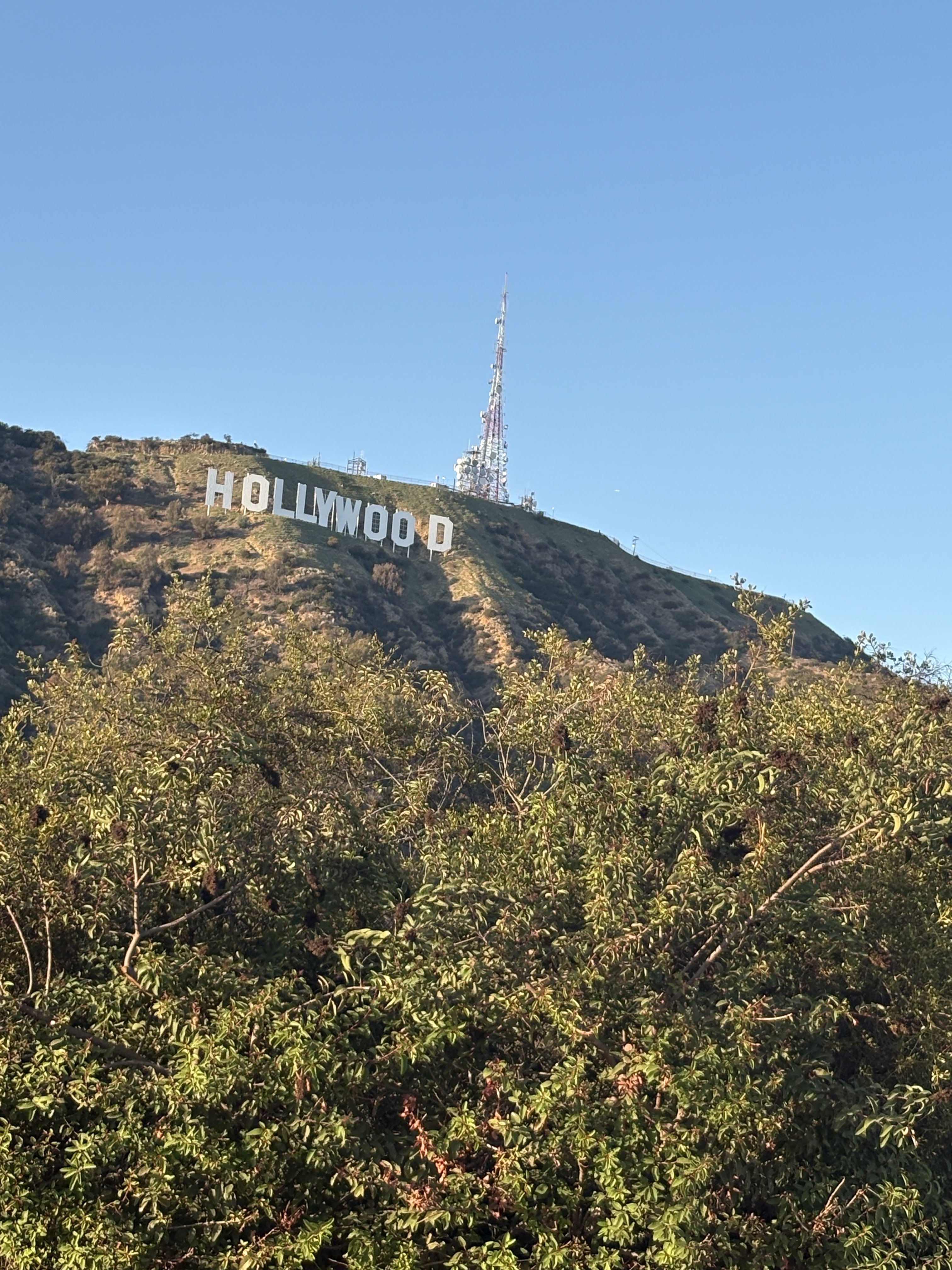 Hollywood Sign seen from a Los Angeles hillside