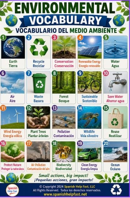 Spanish Nature and Environment Vocabulary Posters, Animals Plants Ocean and Natural Disasters Bundle, Spanish Teacher Classroom PDF preview 4