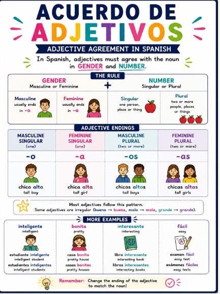 Spanish 1 Grammar Posters Bundle, 7 Beginner Reference Charts for Spanish Teacher Classroom Decor, Printable PDF Digital Download preview 4