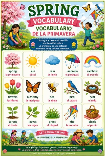 Spanish Seasons and Nature Activities Bundle Spring, Summer, Fall, Winter and Outdoor Fun Posters preview 2