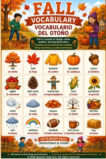 Spanish Seasons and Nature Activities Bundle Spring, Summer, Fall, Winter and Outdoor Fun Posters preview 4