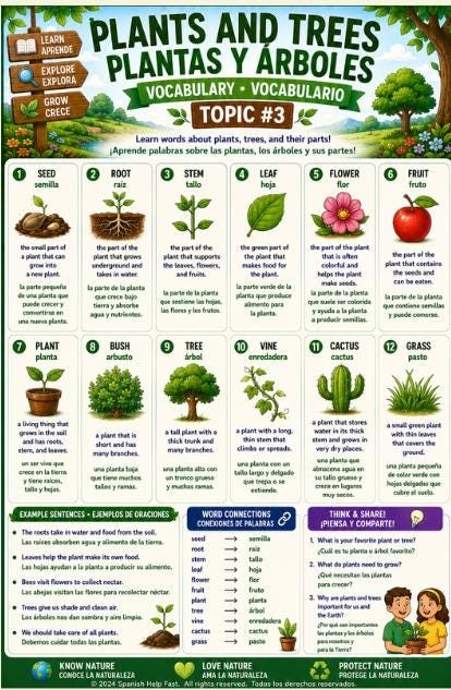 Spanish Nature & Environment Word Wall Bundle | 5 Bilingual Vocabulary Posters preview 4