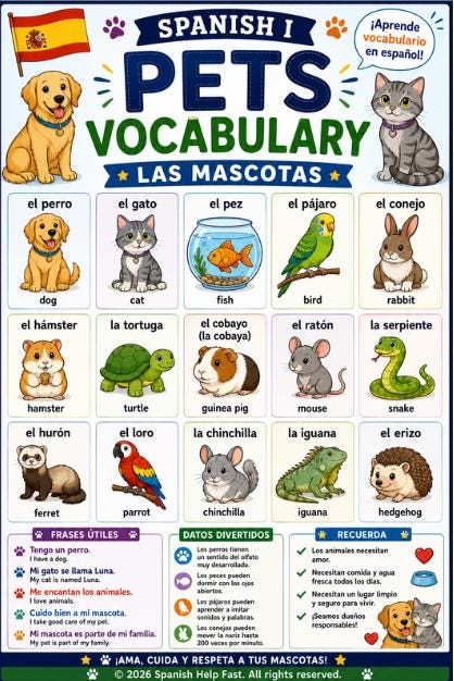 Spanish Animal Word Wall Bundle 5 Bilingual Spanish-English Vocabulary Posters preview 2