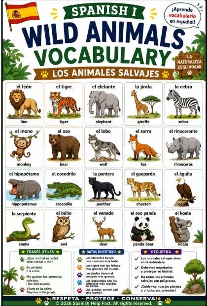 Spanish Animal Word Wall Bundle 5 Bilingual Spanish-English Vocabulary Posters preview 4