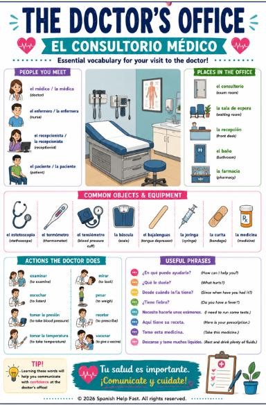 Spanish II Health and Medical Vocabulary Bundle 5 Reference Posters preview 3