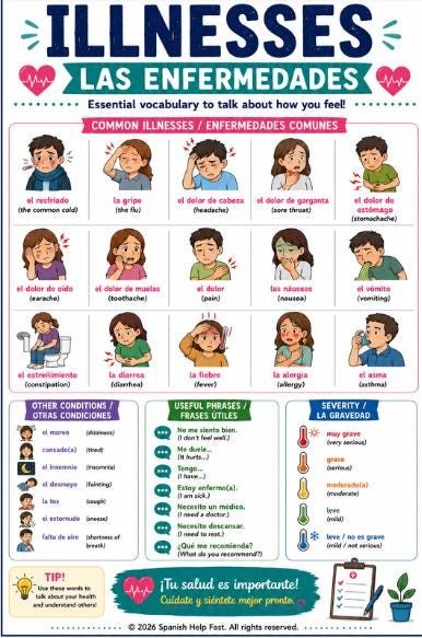 Spanish II Health and Medical Vocabulary Bundle 5 Reference Posters preview 4