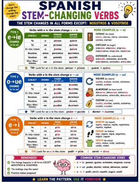 Spanish Verb Reference Bundle Go Verbs, Stem Changers, Ser vs Estar, Tener & Gustar preview 3