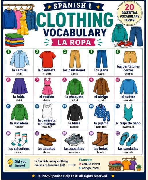 Spanish Clothing and Shopping Vocabulary Posters, Fashion Money and Retail Expressions Bundle, Spanish Teacher Classroom Decor PDF preview 2
