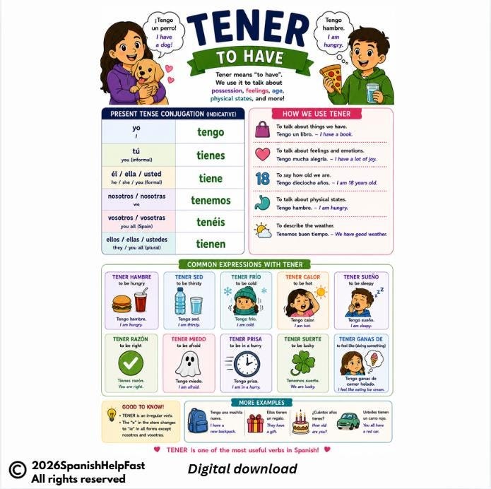 TENER Expressions Poster for Spanish 1 Common Spanish Phrases Reference preview 2