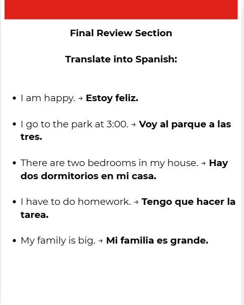 Spanish 1 Review Packet | Vocabulary Grammar (Digital Download) preview 3