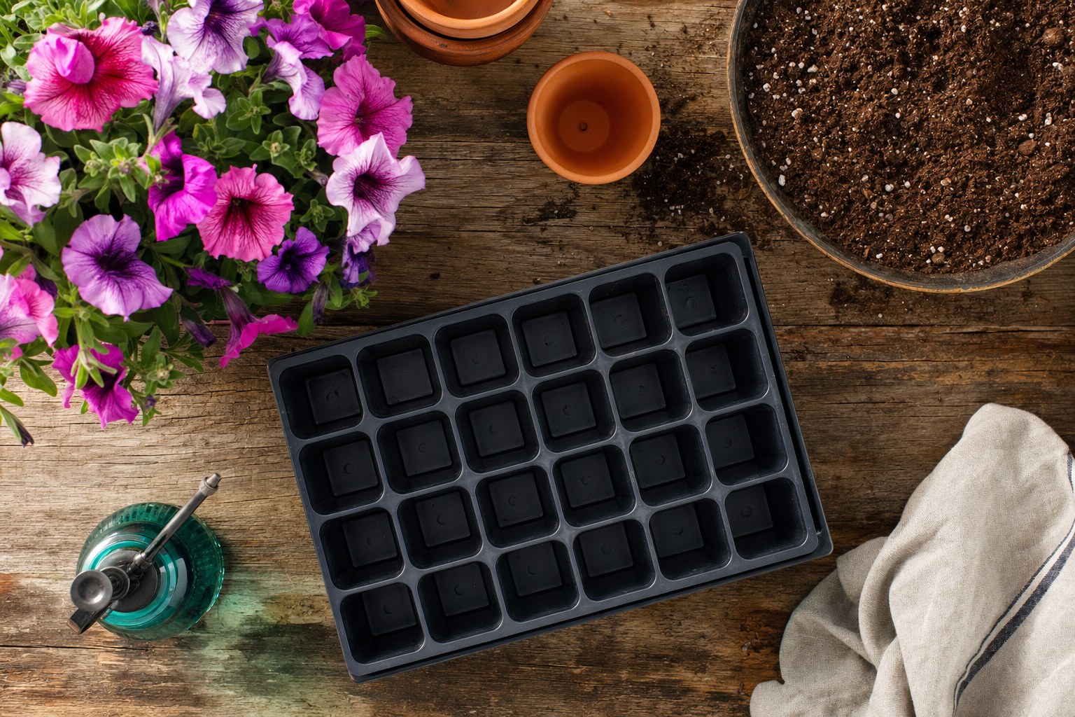 Petunias, a seed tray, and potting mix arranged on a wooden bench