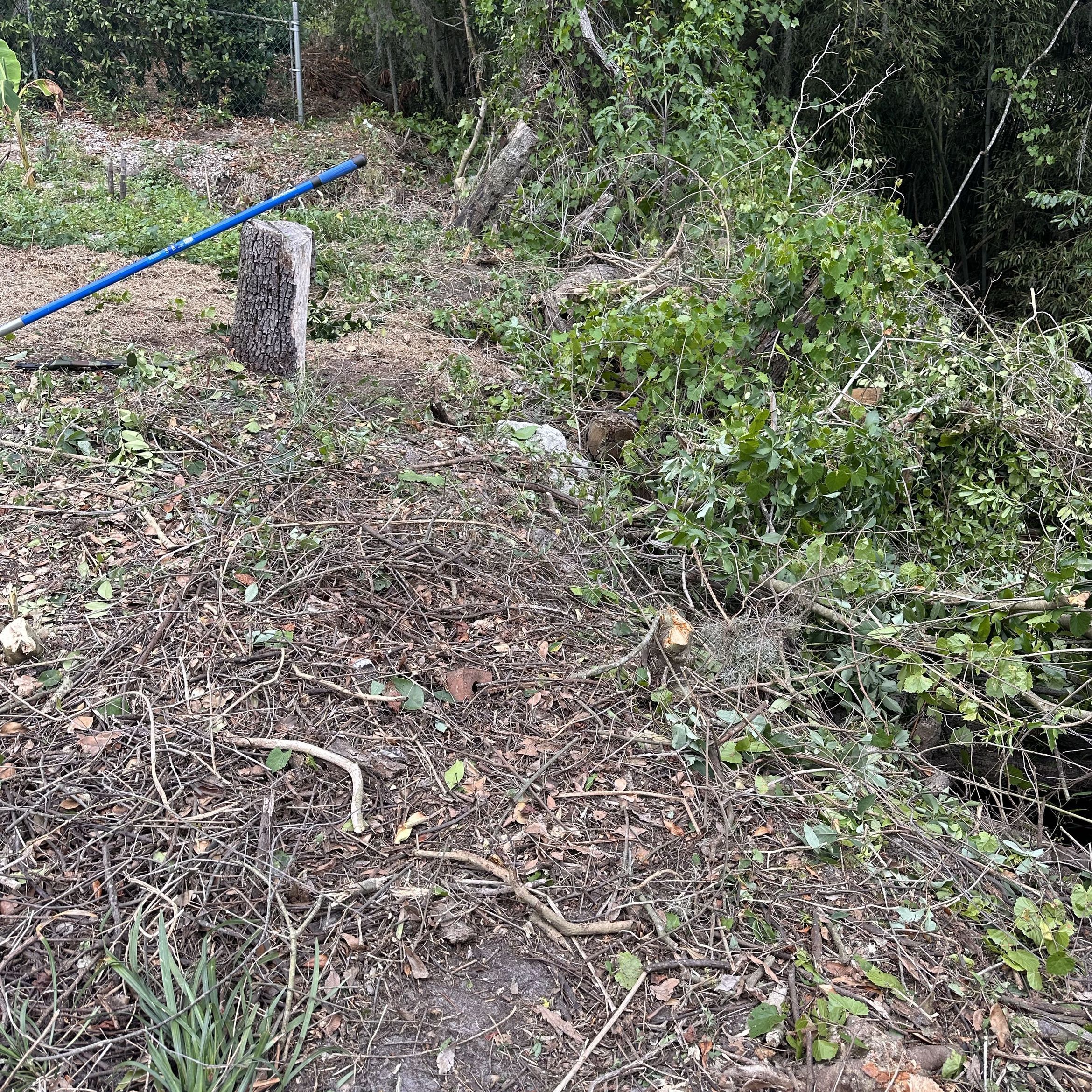 Yard cleanup by CHPL LLC