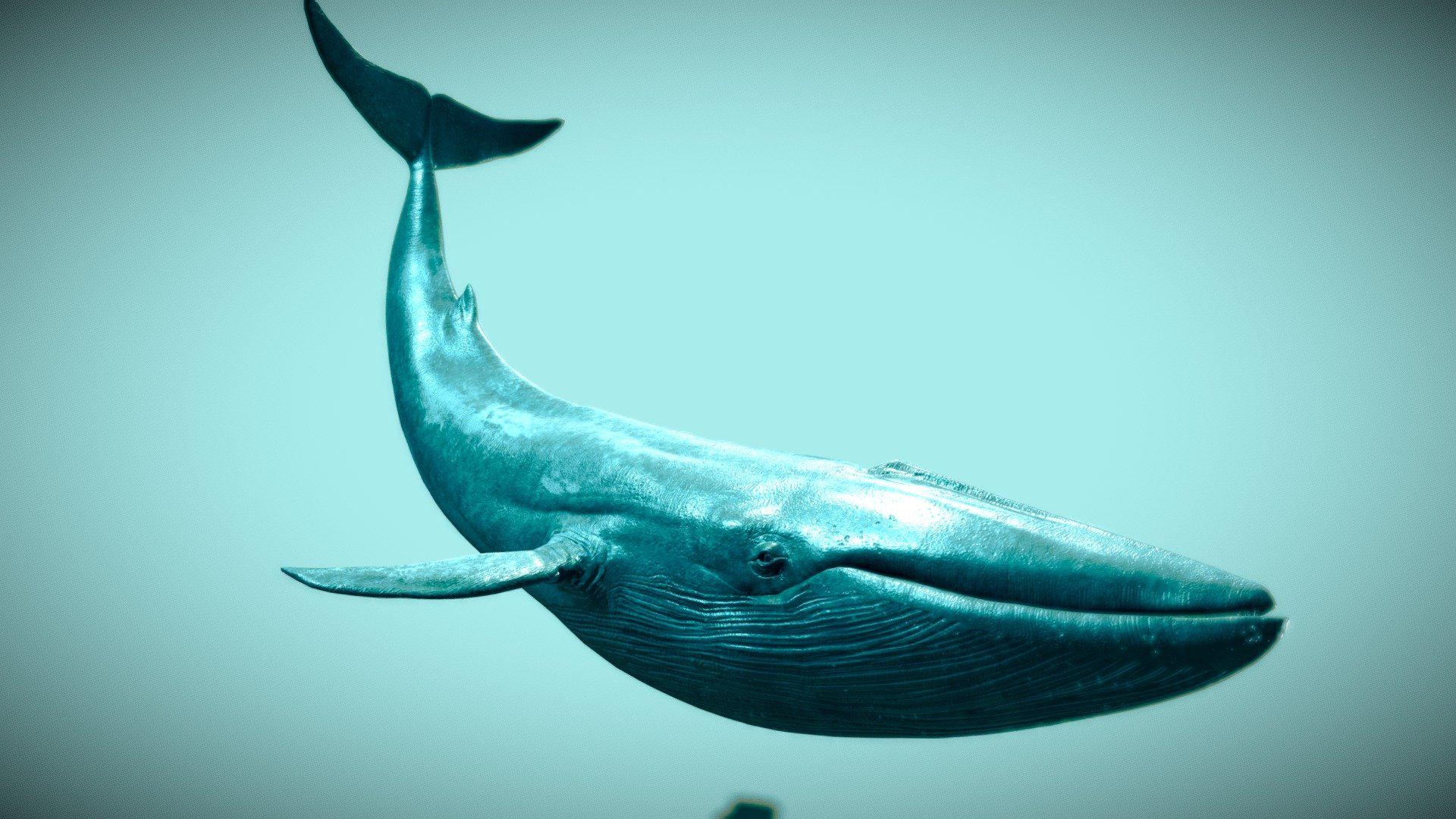 Whale Song Mist