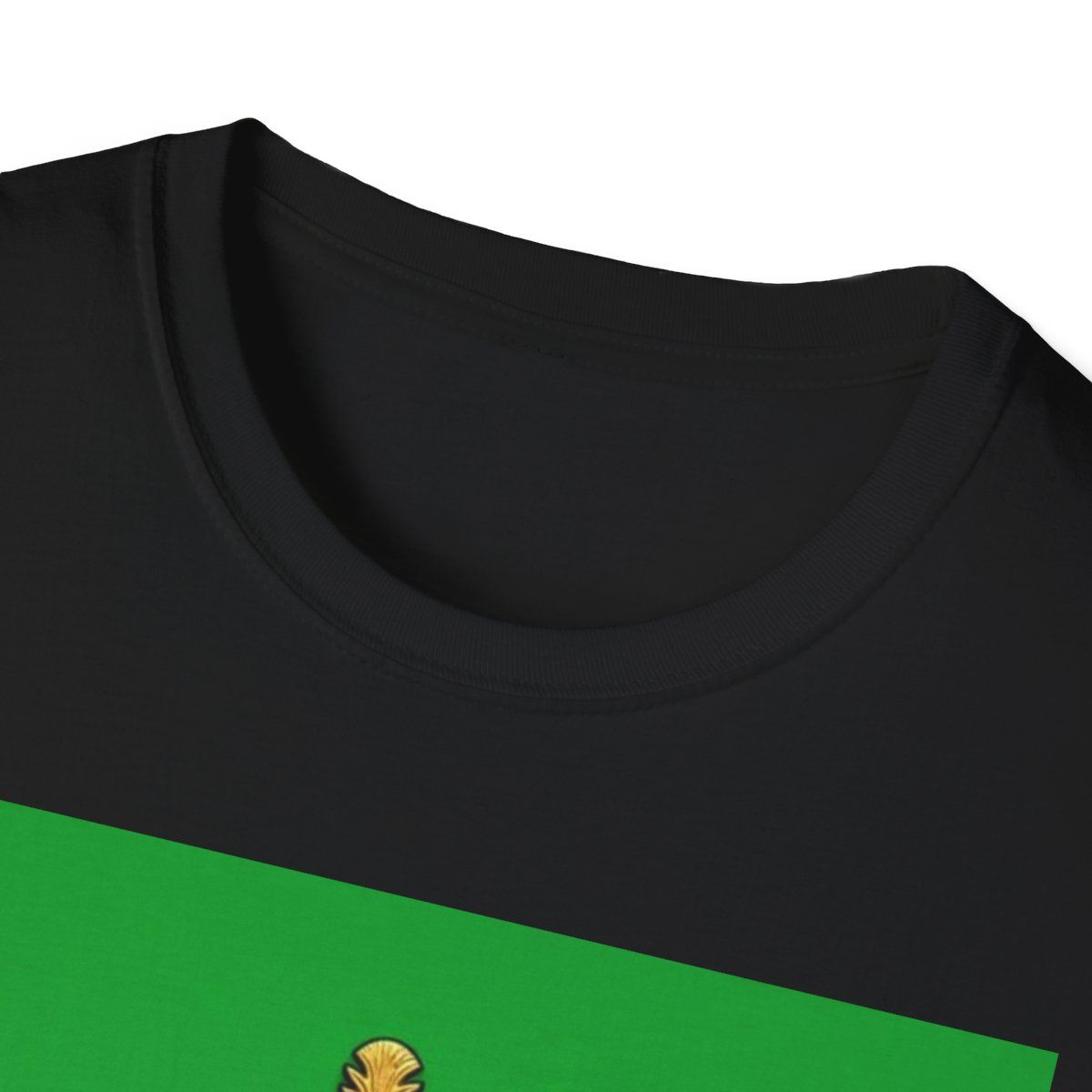 Persian Lion Crest T-Shirt,  'Bibi Joon' Retro Iran Flag Tee, view 3