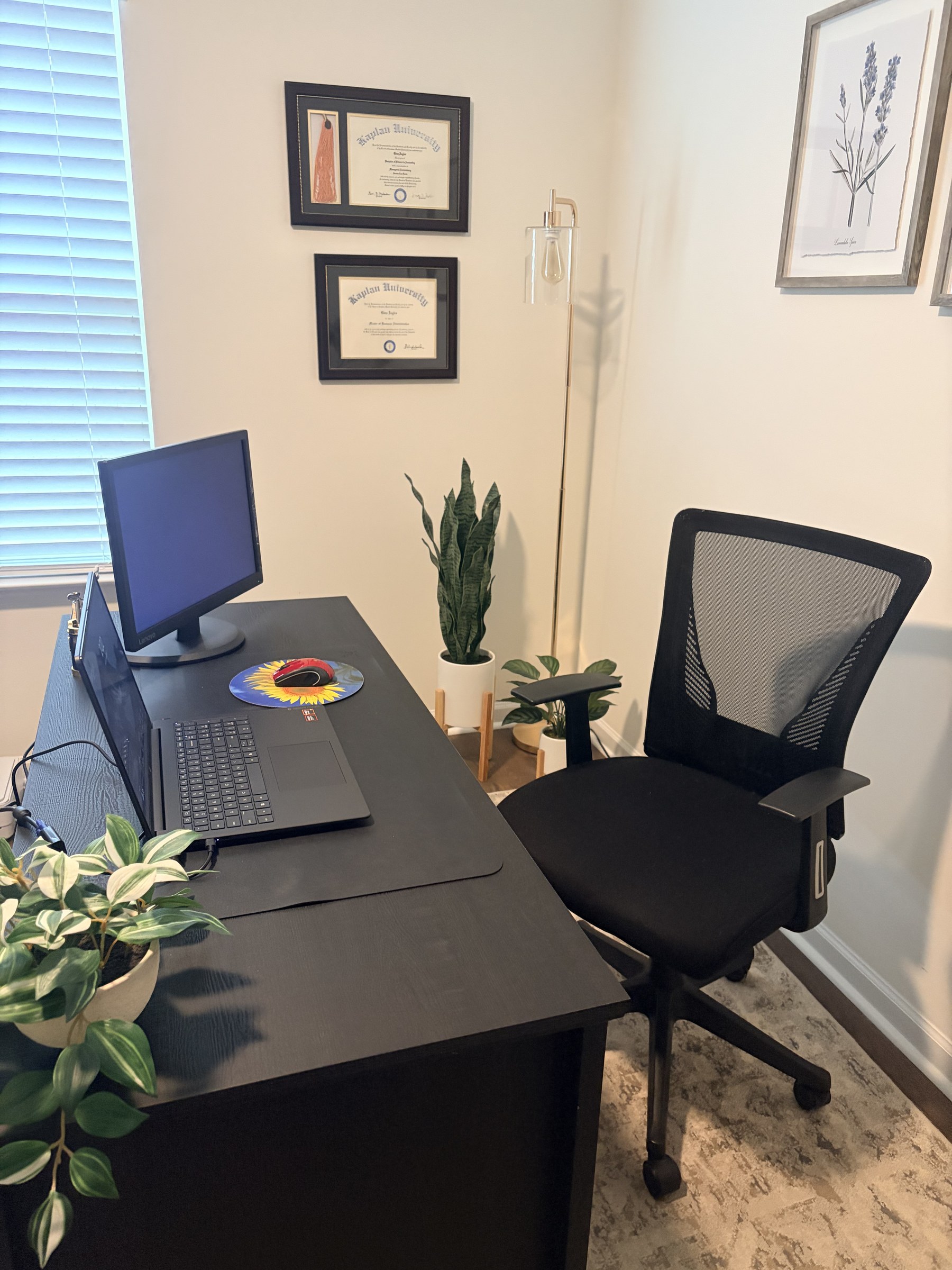 Gina's office desk and client workspace