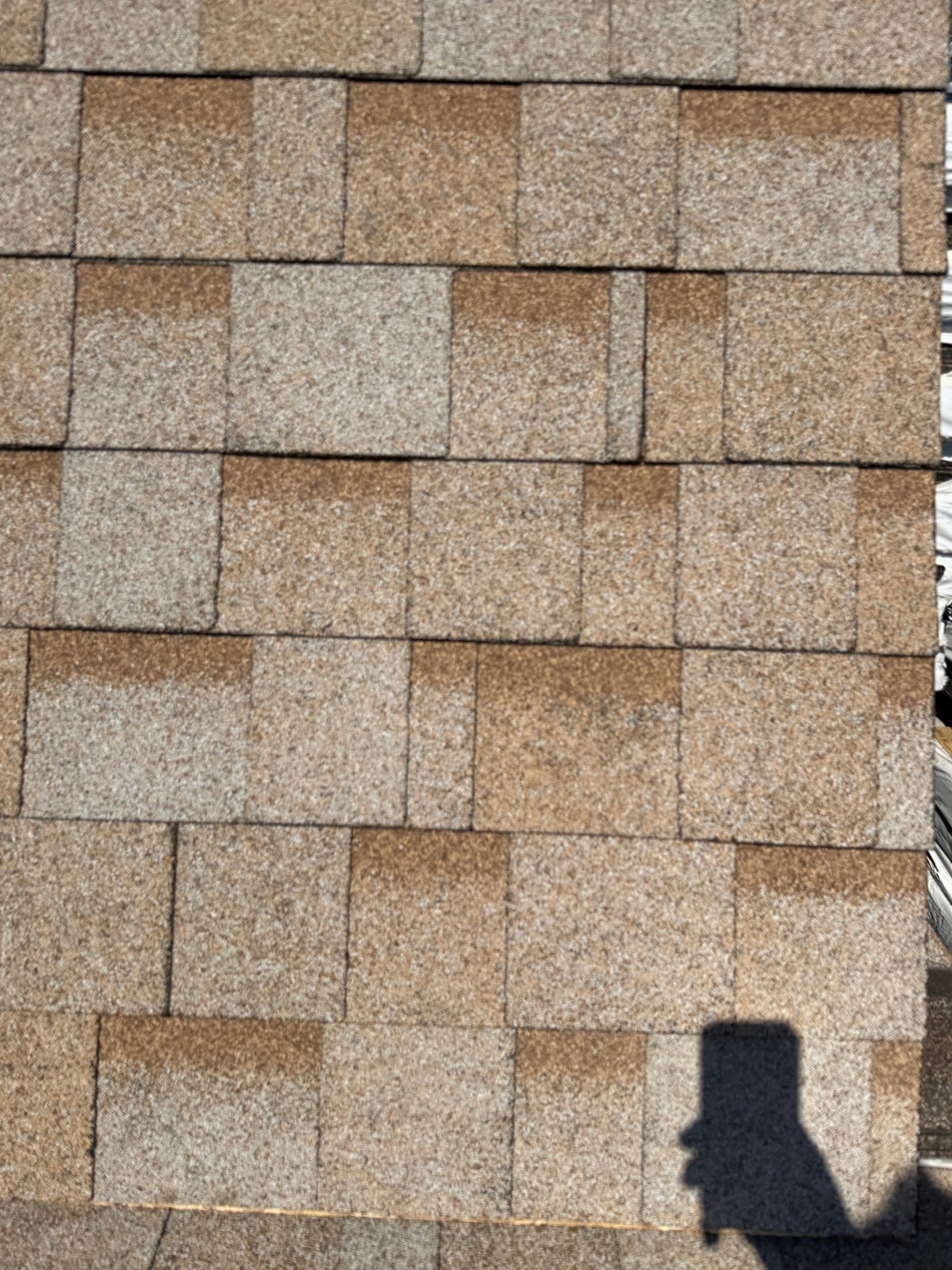 Cool Amber Shingles inventory photo 2