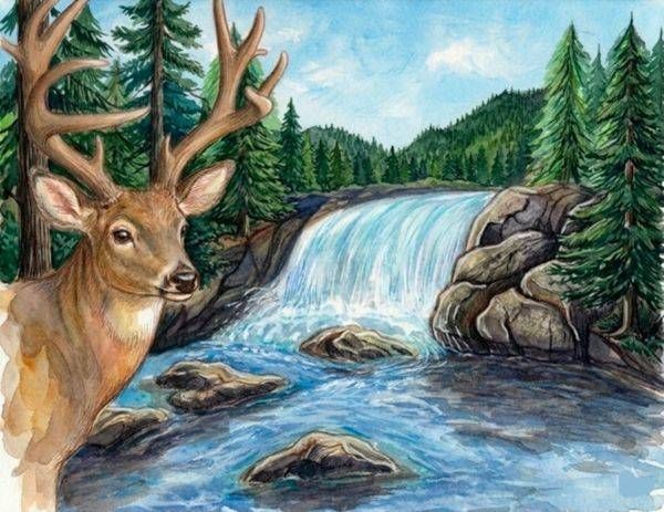 Landscape 2 by Zane Peterson