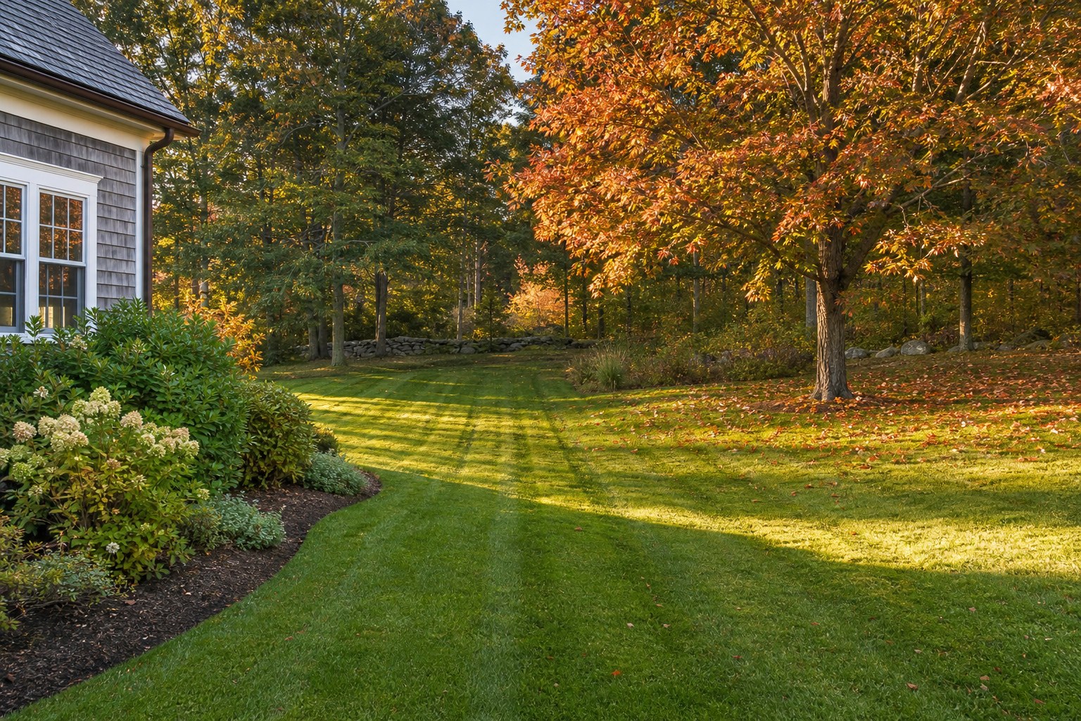A neatly kept lawn beside trees with early autumn color