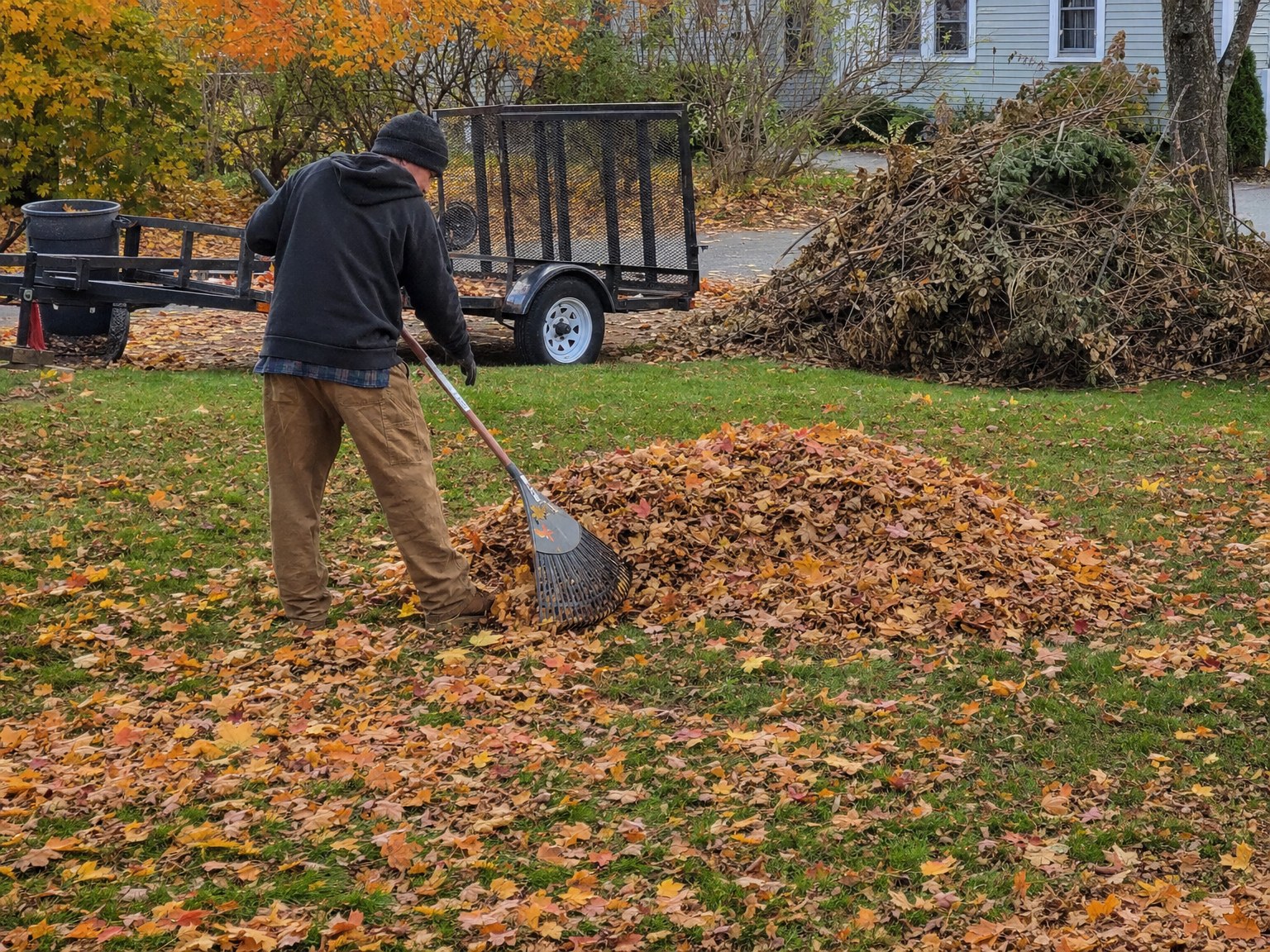 Worker raking autumn leaves near a utility trailer