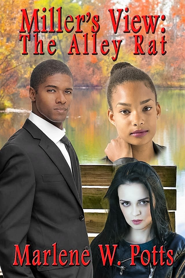 Cover of Miller’s View: The Alley Rat by Marlene W. Potts