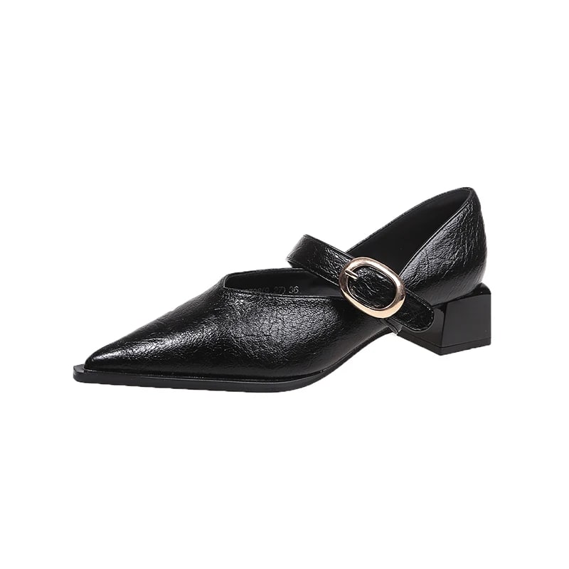 2024 Autumn Women Flat Shoes Fashion Low Wedge Heel Ladies Gold Buckle Ladies Mary Jane Shoes Pointed Toe Boat Shoes New Woman product photo
