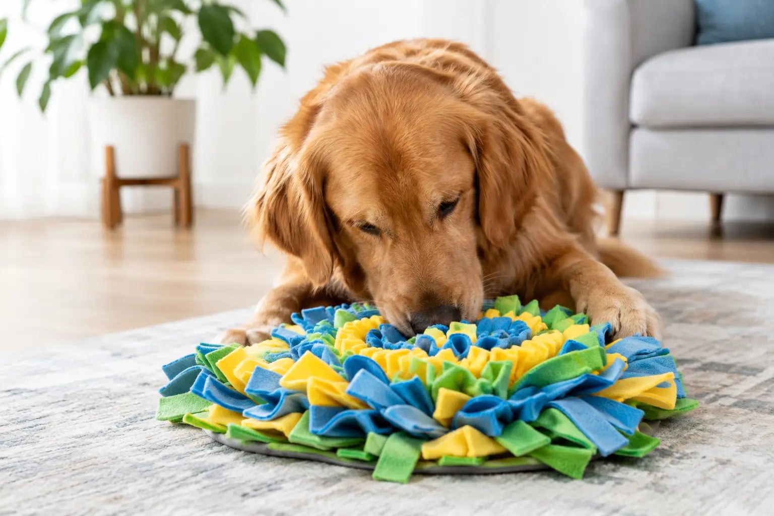 Dog Snuffle Mat Benefits for Happier Dogs
